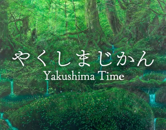 「やくしまじかん」出演のご報告と、聴き逃し配信のお知らせ